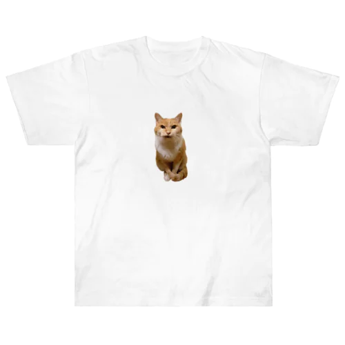 眼光鋭い茶シロ猫 ヘビーウェイトTシャツ