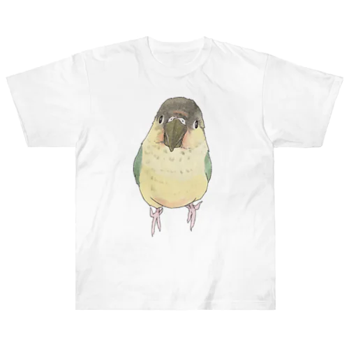 可愛いウロコメキシコインコちゃん【まめるりはことり】 ヘビーウェイトTシャツ