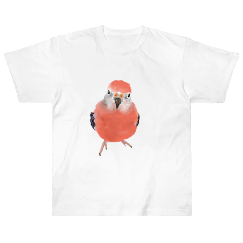 アキクサインコ Heavyweight T-Shirt