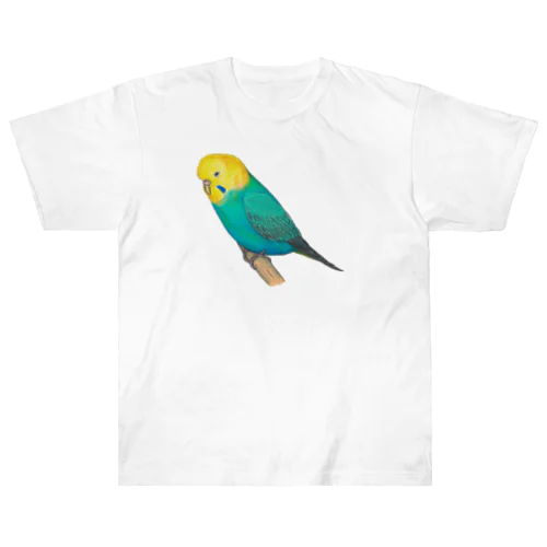 [森図鑑]セキセイインコレインボー ヘビーウェイトTシャツ