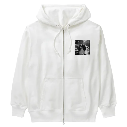 サングラスのBarry Heavyweight Zip Hoodie