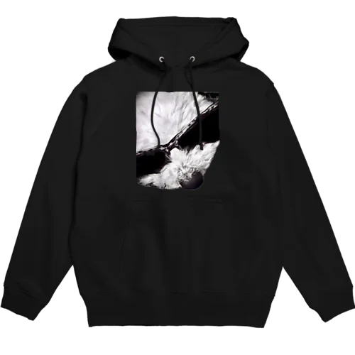 Dog Rock'n'Roll Hoodie