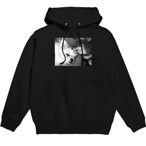 Fighting Dogs Hoodie