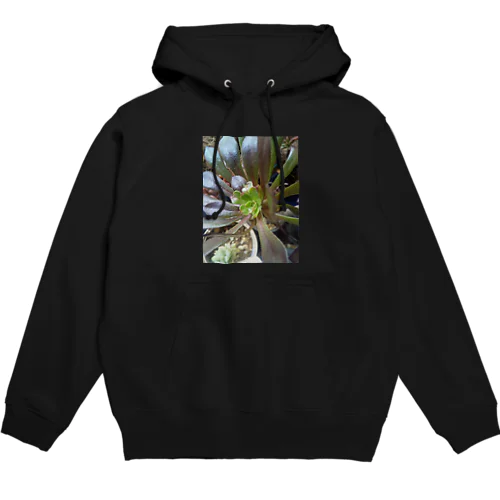 多肉植物の黒法師 Hoodie