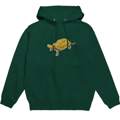 ここにいるよ、ニホンイシガメ Hoodie