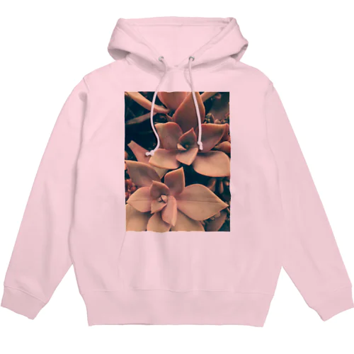 多肉植物の初恋 Hoodie