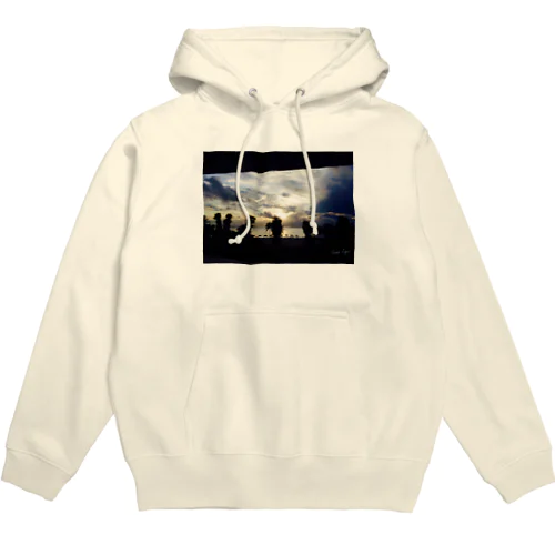 sea side twilight Hoodie