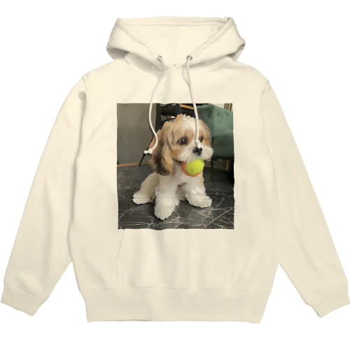 テニスボール🎾ロイロイ🐶 Hoodie