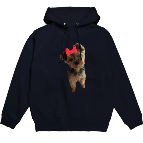 jasmine2 Hoodie