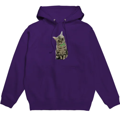 アメショのあかりちゃん緑リボンversion Hoodie