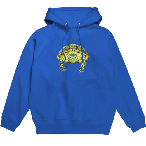 ミシシッピアカミミガメ Hoodie