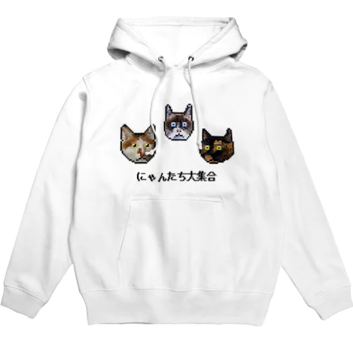 わが家のにゃんたち大集合.com Hoodie