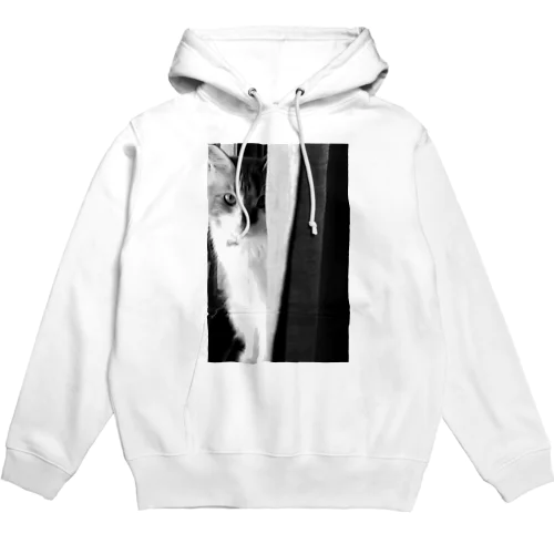 覗きネコ🐈 Hoodie