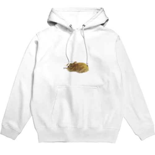 うさちゃん♡ Hoodie