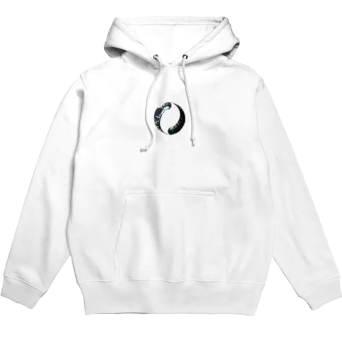 crystal_v2 Hoodie