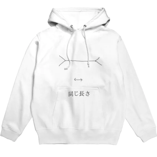 摩訶不思議な錯視 Hoodie