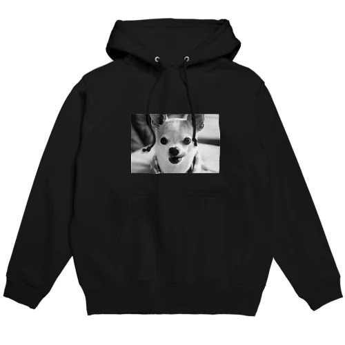 モノクロチワワ（ぺろんちょ） Hoodie