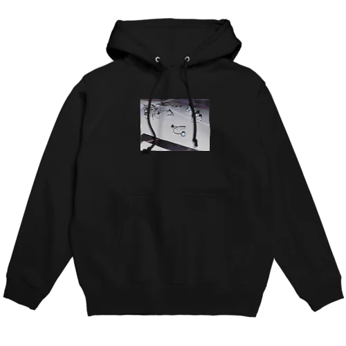 1 Hoodie