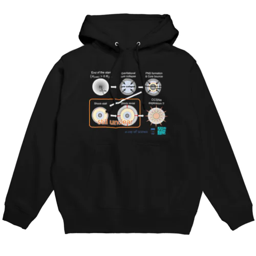 超新星爆発を元素合成から理解する Hoodie