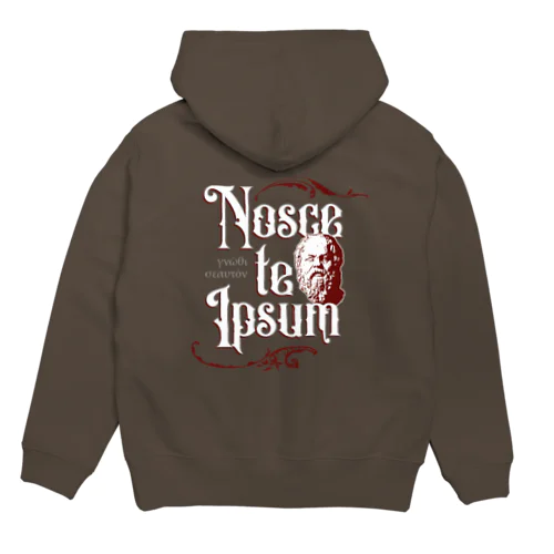 Nosce te Ipsum Hoodie