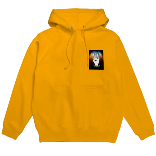 I DON'T CARE Hoodie