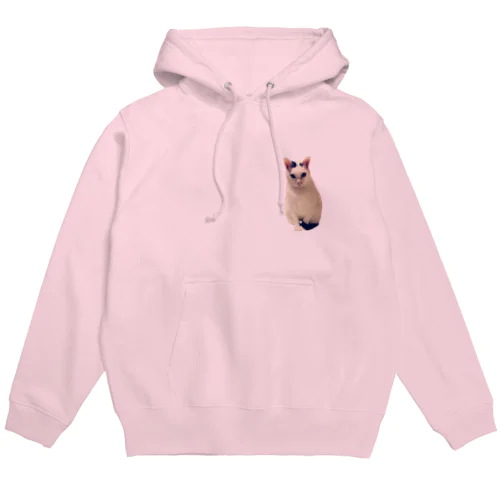 ねこのかっちゃん Hoodie