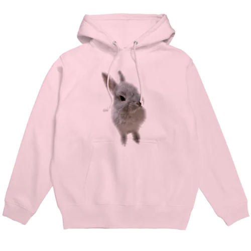 ももちゃんの憂鬱 Hoodie