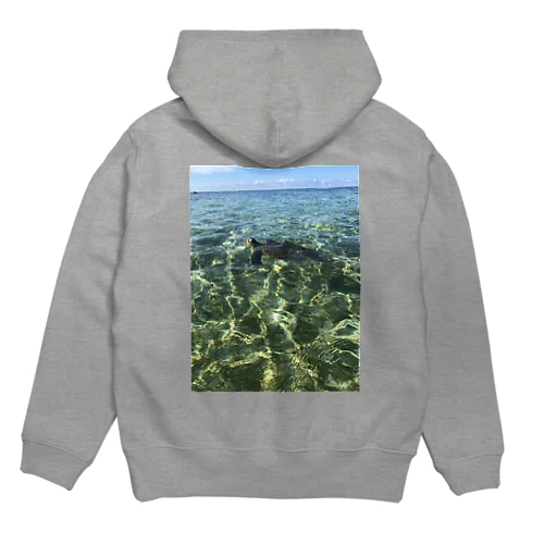 Sea turtle  Hoodie