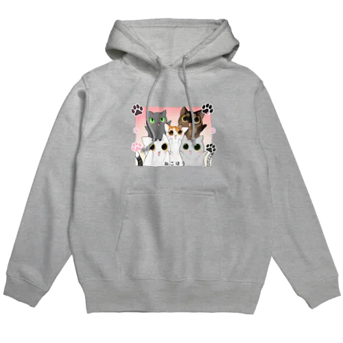 5匹ねこほうイラストグッズ Hoodie