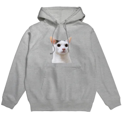 びっくりチロさんパーカー Hoodie