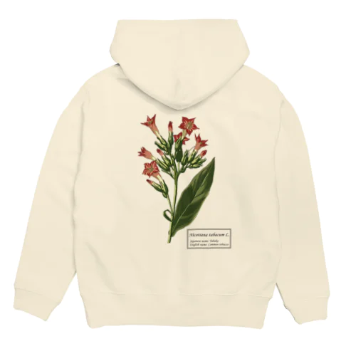 タバコ（Nicotiana tabacum） Hoodie