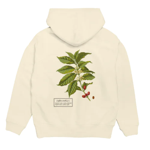 アラビカコーヒーノキ（Coffea arabica） Hoodie