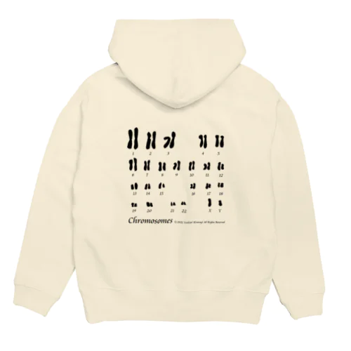 【学習シリーズ】染色体 Hoodie