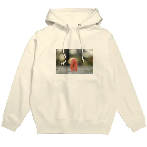 直立にんじん Hoodie