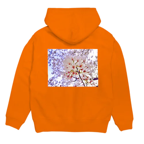 桜 Hoodie