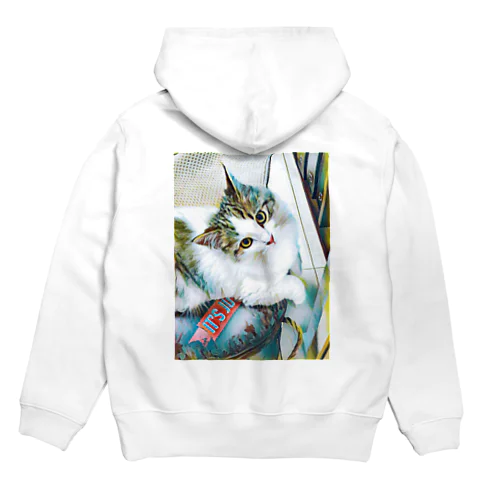 SOL Hoodie