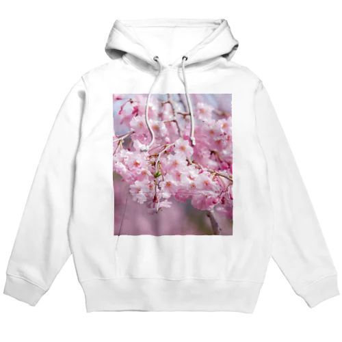 癒しの風景（八重桜） Hoodie