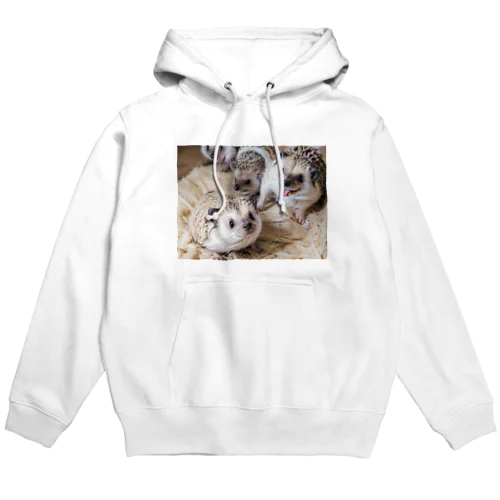 ハリネズミくんC Hoodie