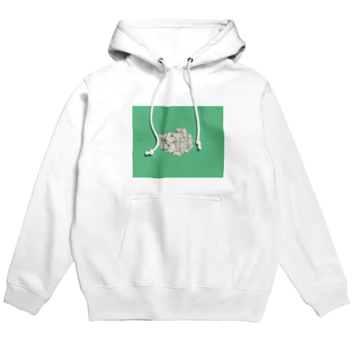 石（green） Hoodie