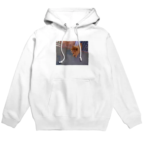 シドニーのチャウチャウ Hoodie