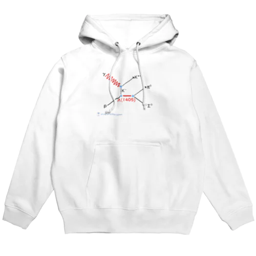 Λ(1405)の質量を調べたい Hoodie