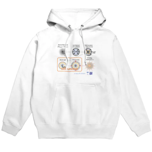 超新星爆発を元素合成から理解する Hoodie