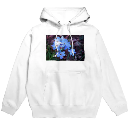 ハナニラ Hoodie