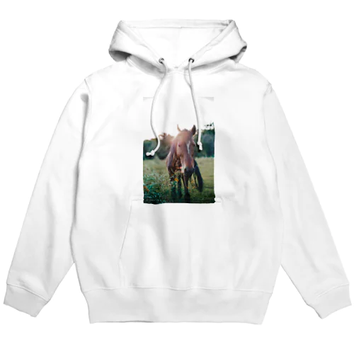 UMA-2 Hoodie