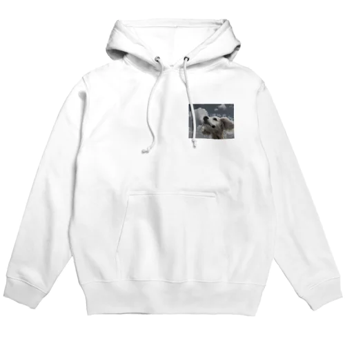 cskyp Hoodie