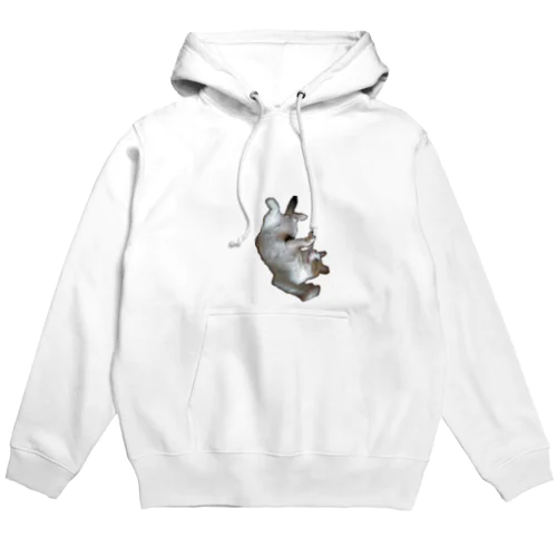 ひもじゃれぬこ Hoodie