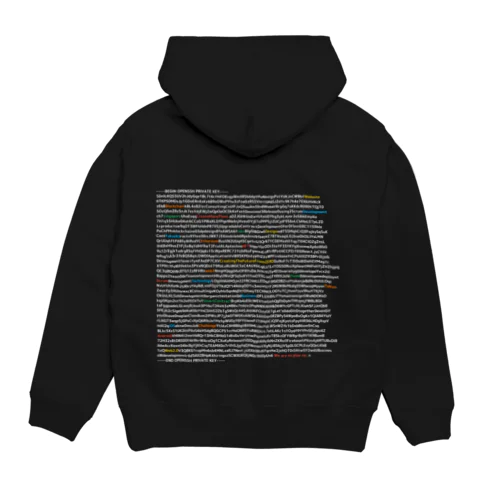 秘密鍵2 Hoodie