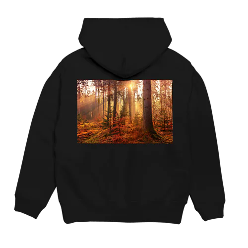 Autumn sunset Hoodie