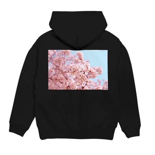 Cherry Blossoms Hoodie