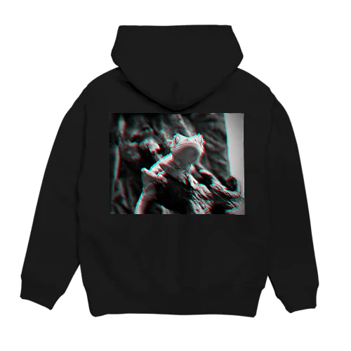 Crested Gecko anaglyph Hoodie